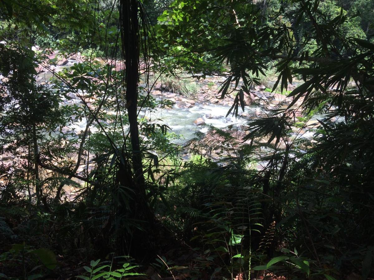 Sinharaja Forest Edge Deniyaya Exterior photo