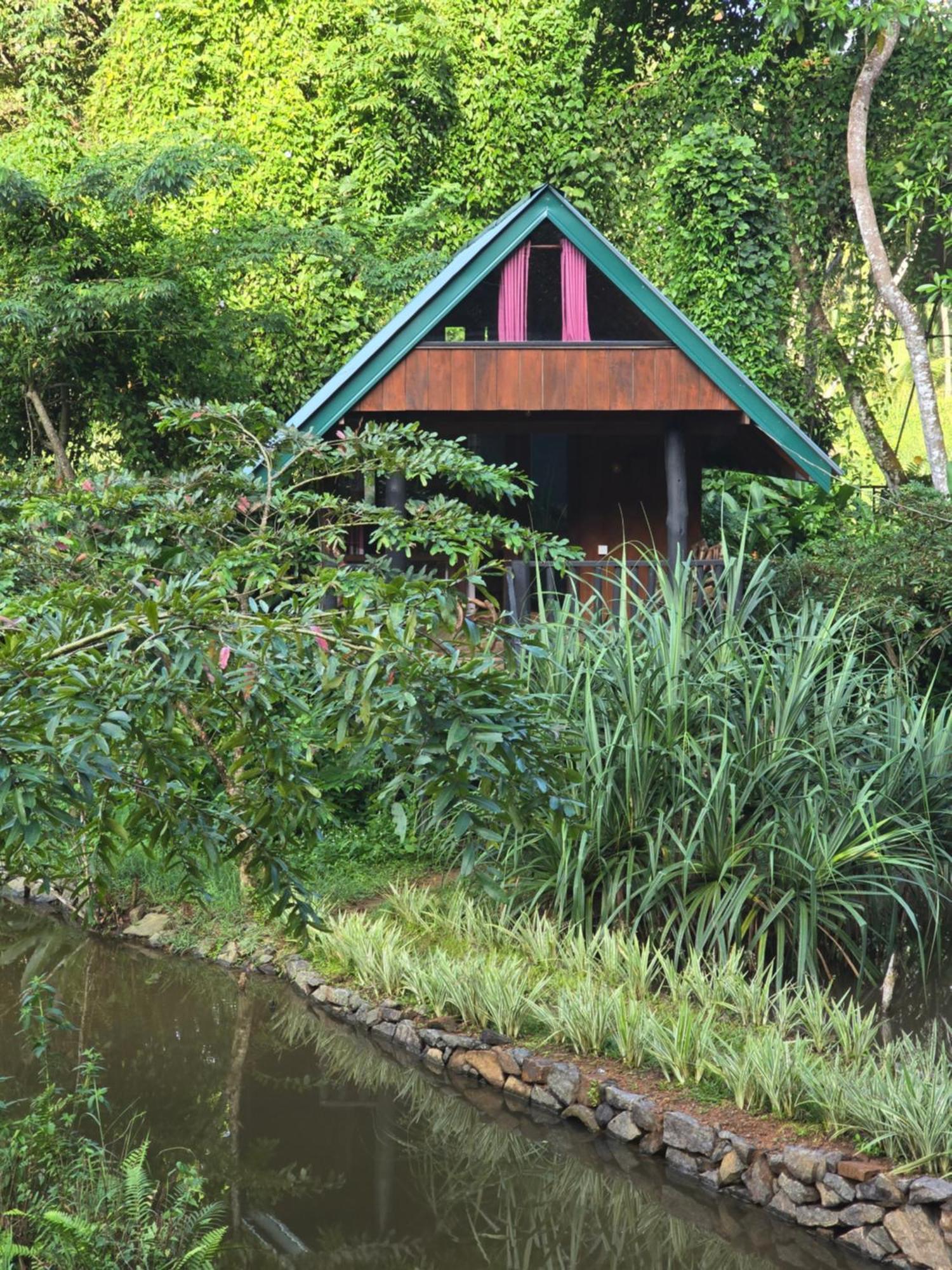 Sinharaja Forest Edge Deniyaya Exterior photo