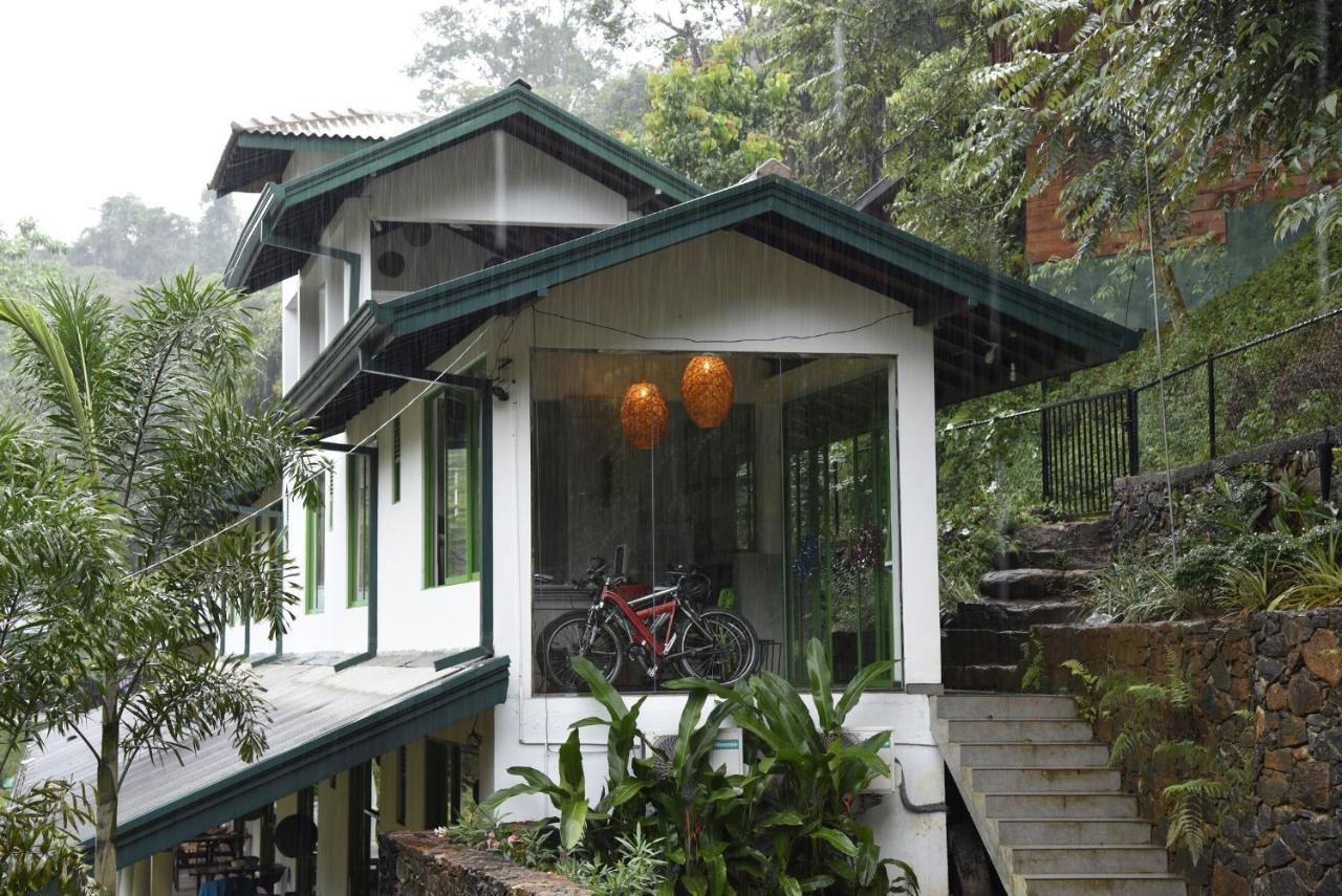 Sinharaja Forest Edge Deniyaya Exterior photo