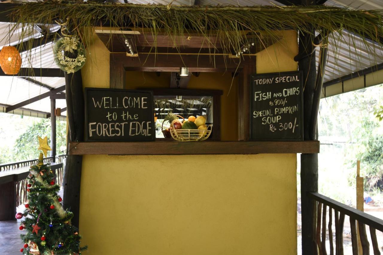 Sinharaja Forest Edge Deniyaya Exterior photo
